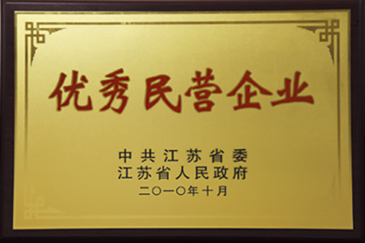 2010 江苏省优秀民营企业.jpg