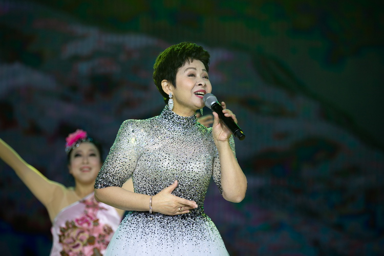 2018年11月2日，董文华为金箔集团“庆祝国家改革开放四十周年暨金箔集团改革开放三十五周年”大型庆典文艺演出助演 - 副本.jpg