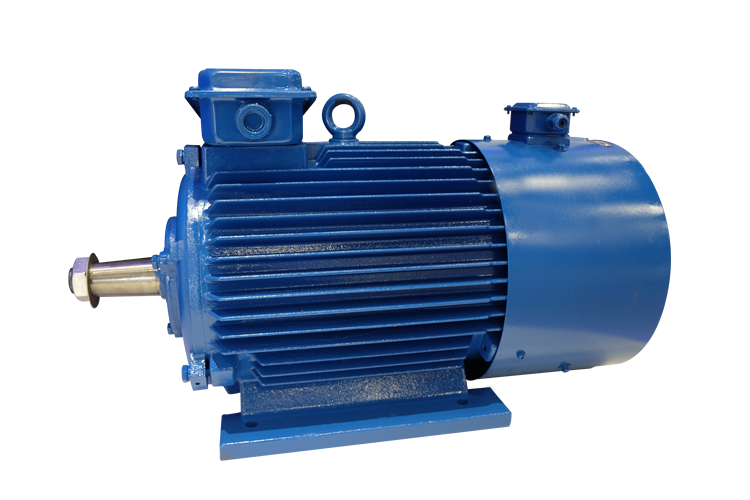 1  YZP系列起重及冶金用变频调速三相异步电动机.png